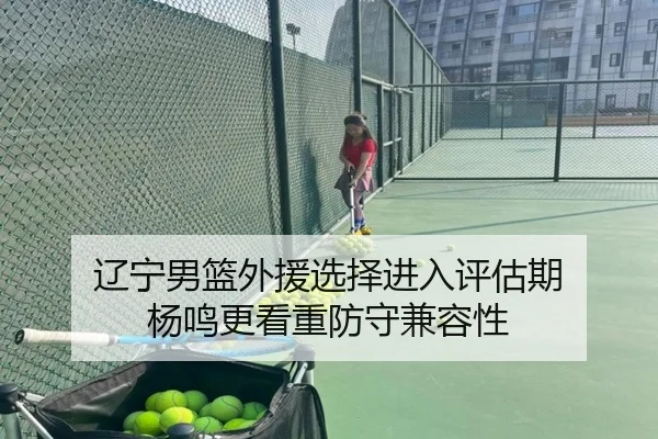 辽宁男篮外援选择进入评估期 杨鸣更看重防守兼容性