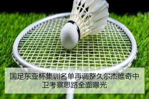 国足东亚杯集训名单再调整久尔杰维奇中卫考察思路全面曝光